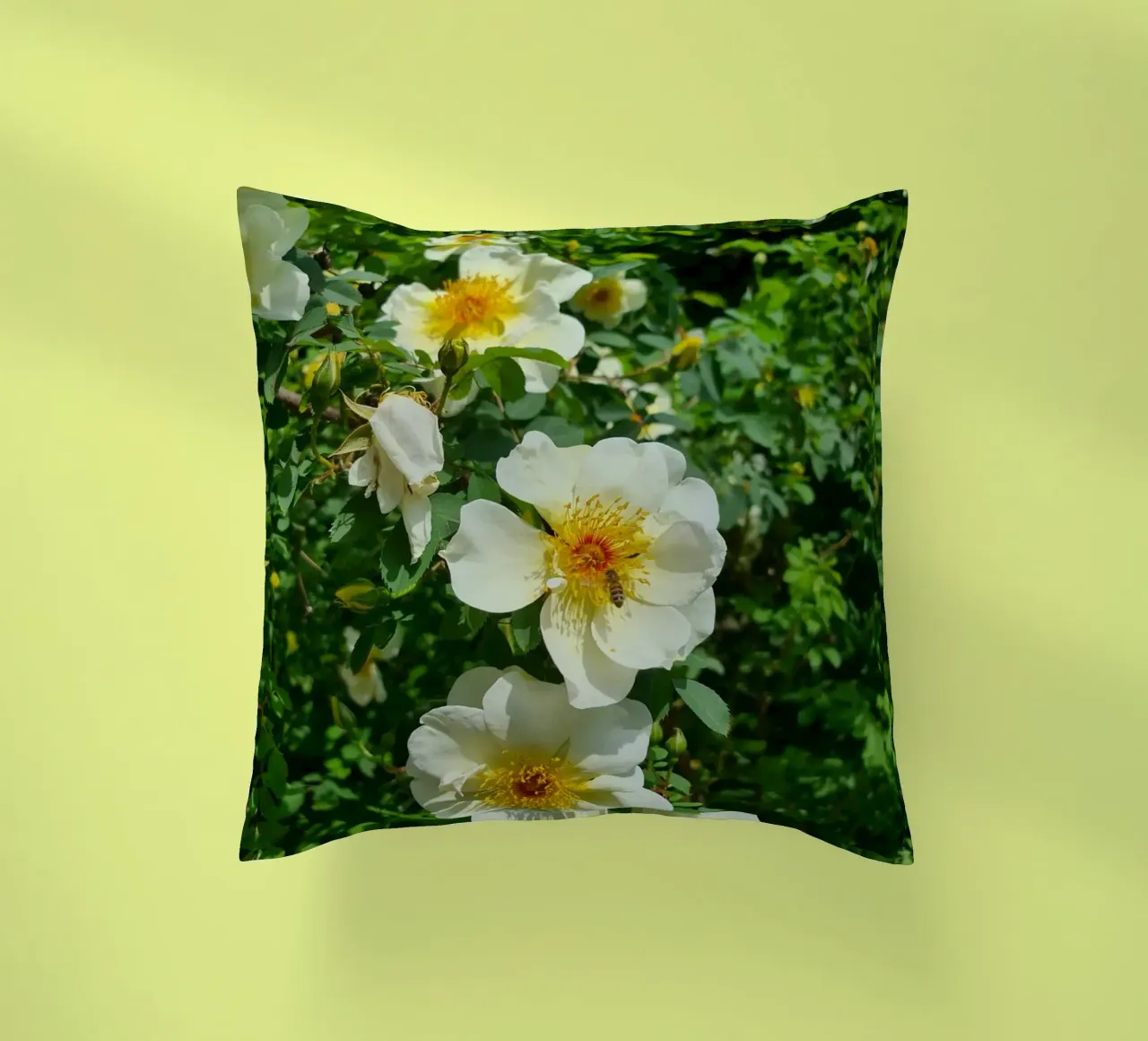 Ape e fiore cuscino da Buntblick