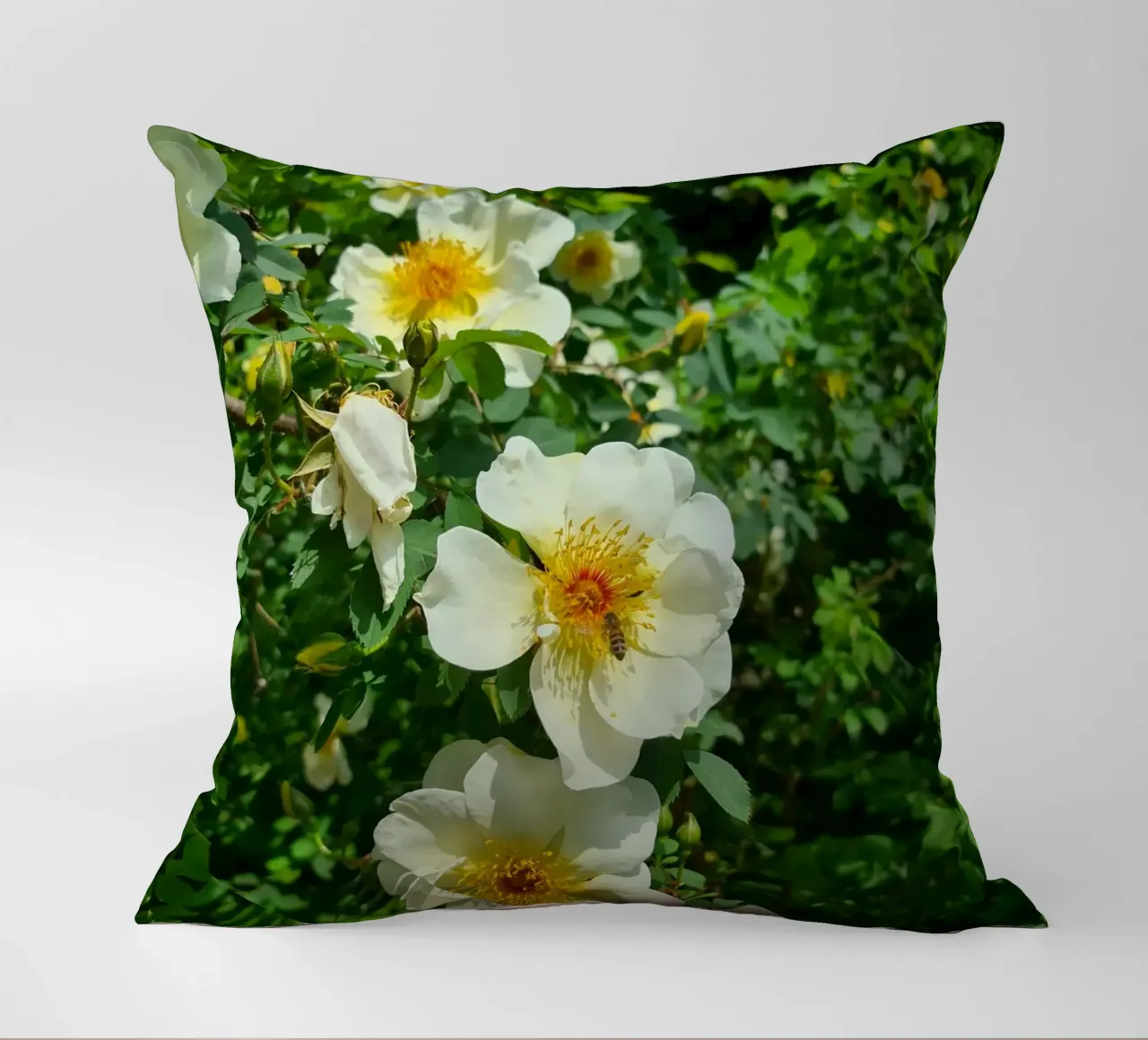 Ape e fiore cuscino da Buntblick