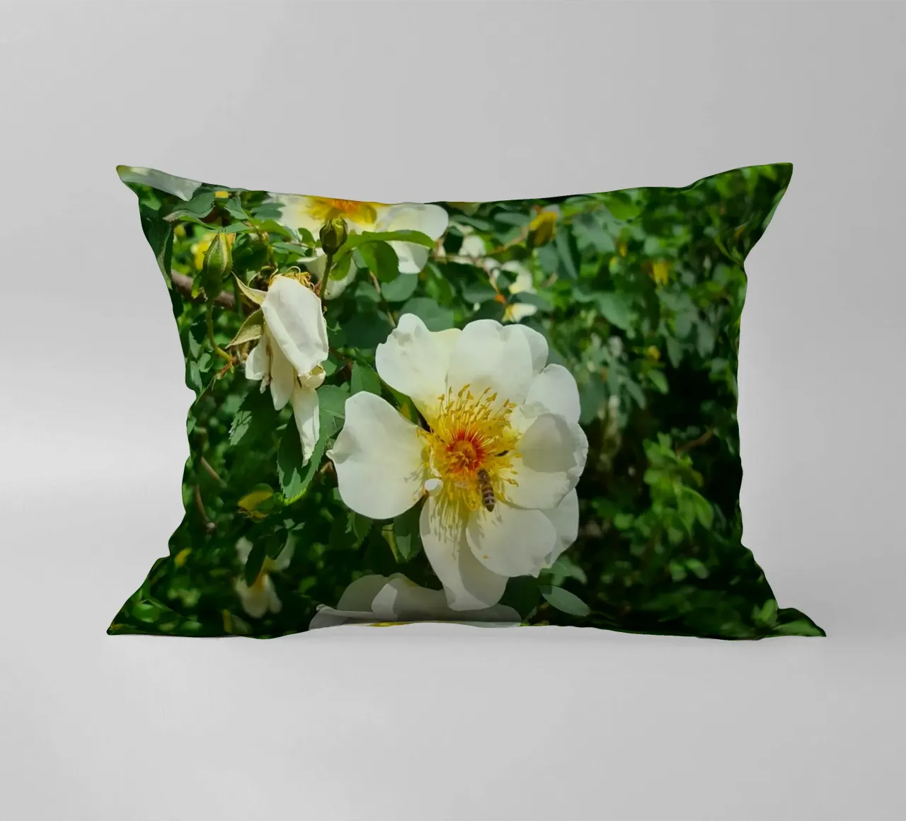 Ape e fiore cuscino da Buntblick