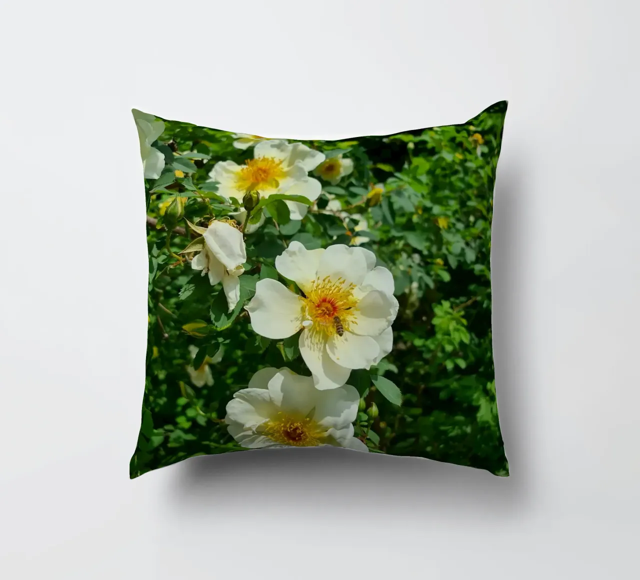 Ape e fiore cuscino da Buntblick