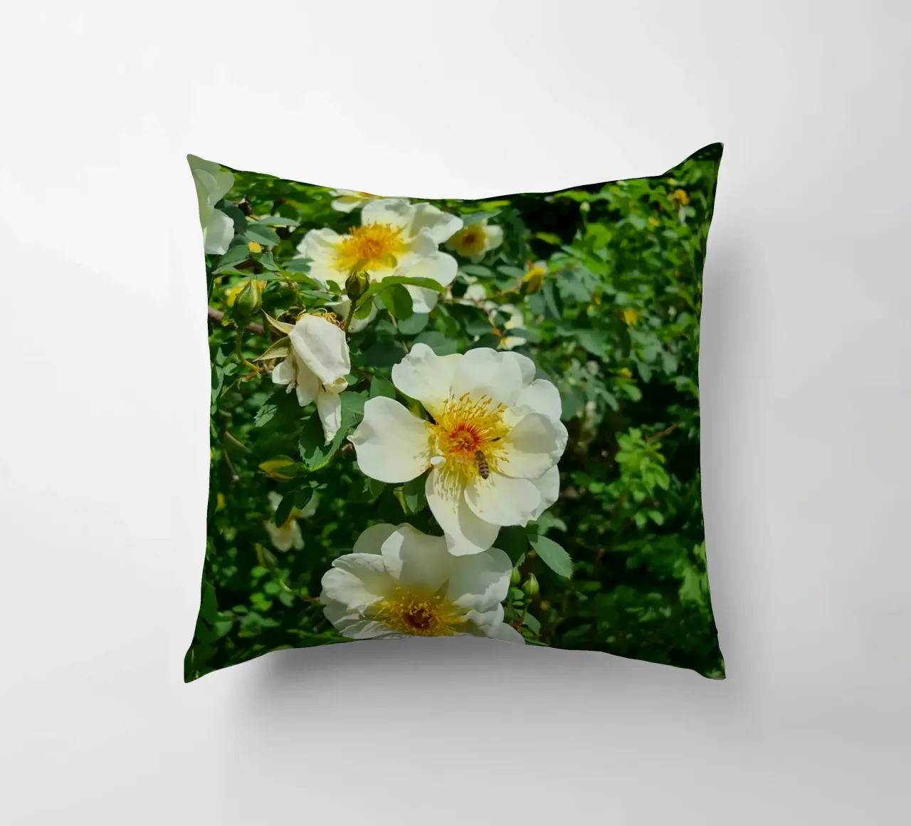 Ape e fiore cuscino da Buntblick