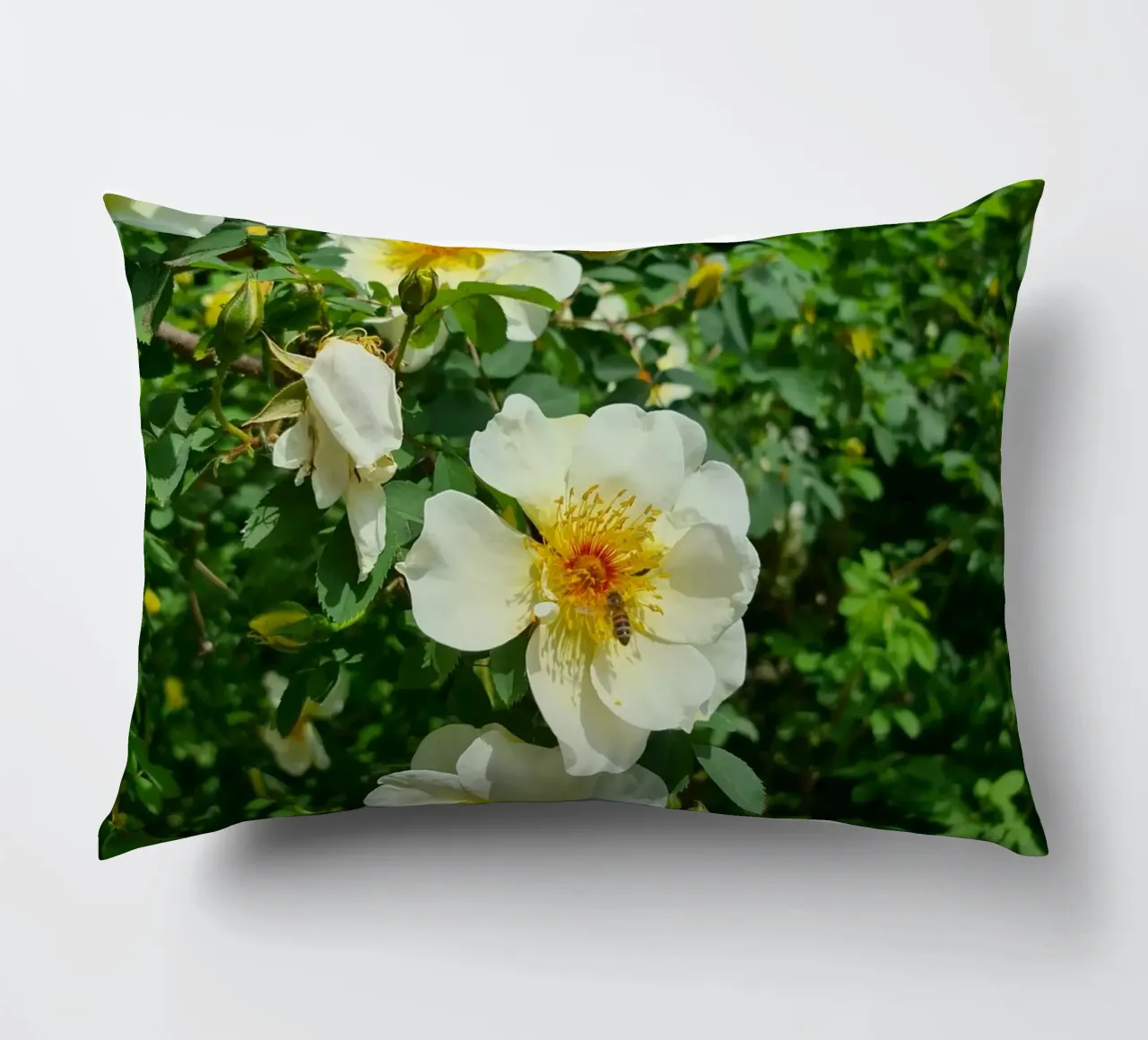 Ape e fiore cuscino da Buntblick