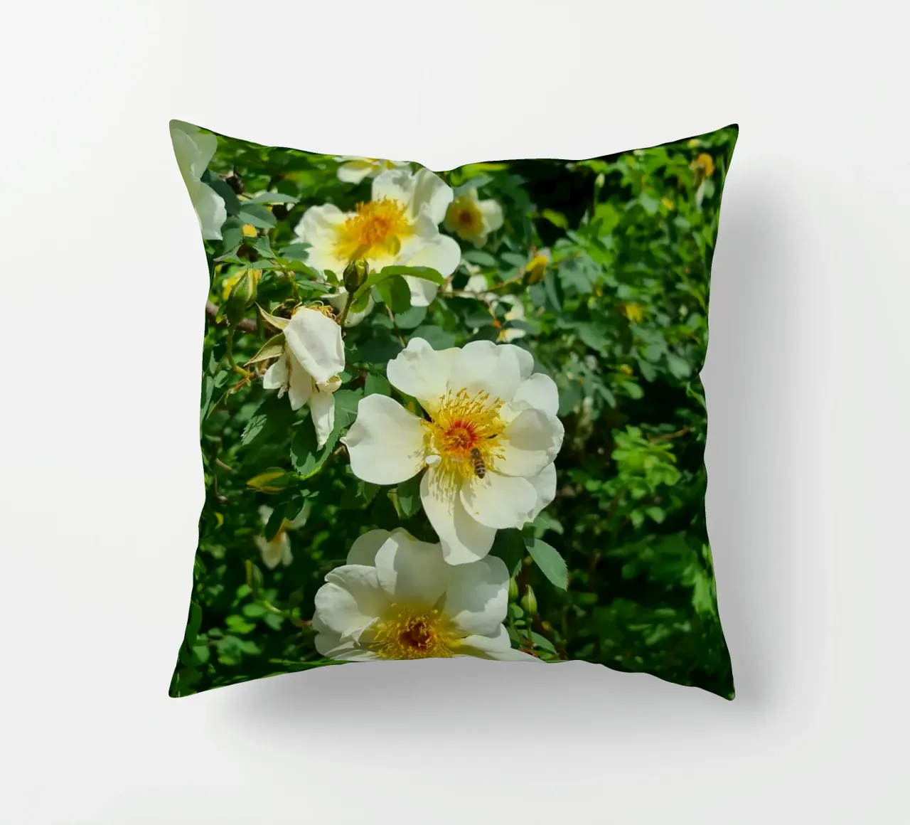 Ape e fiore cuscino da Buntblick