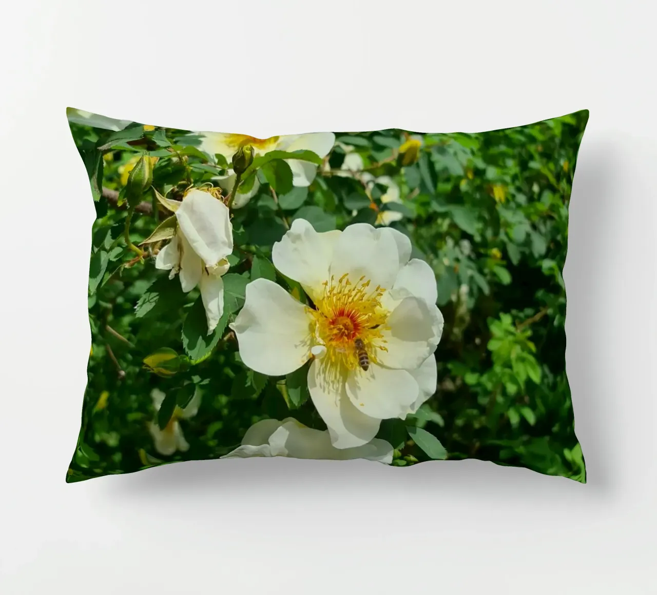 Ape e fiore cuscino da Buntblick