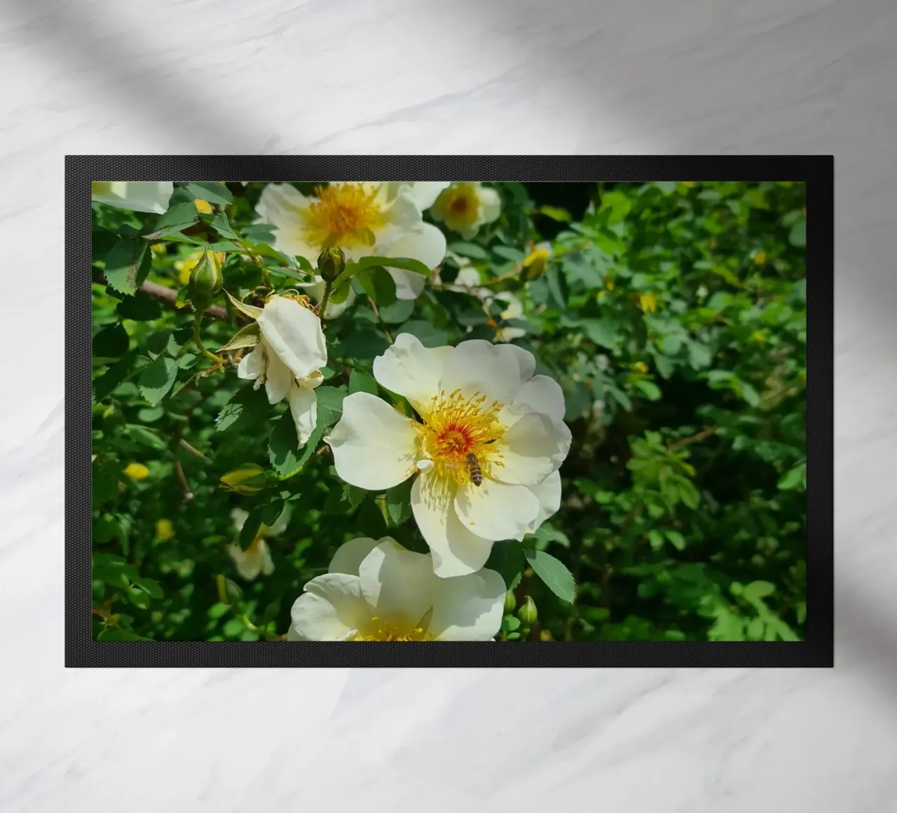 Ape e fiore zerbino da Buntblick