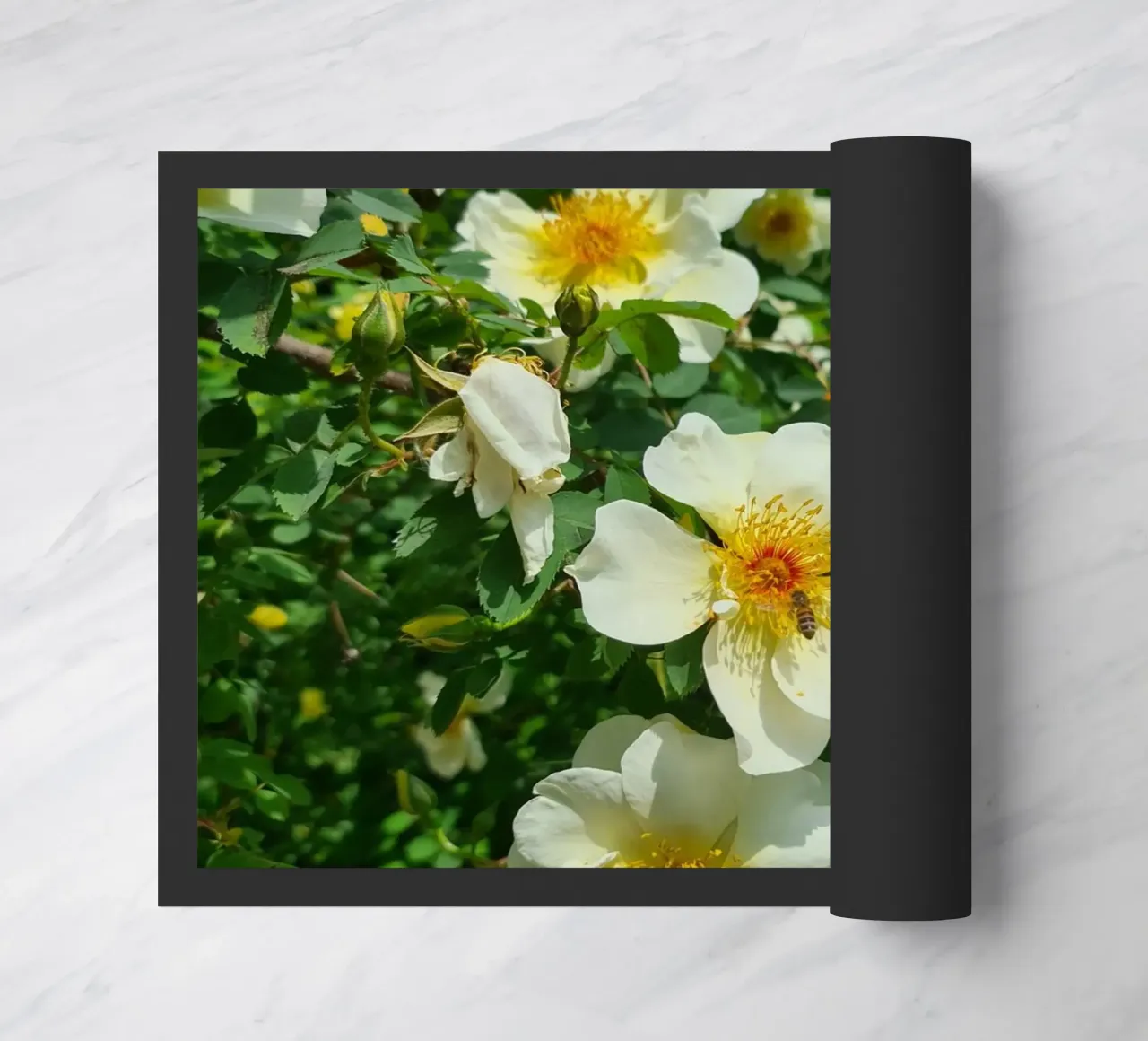 Ape e fiore zerbino da Buntblick