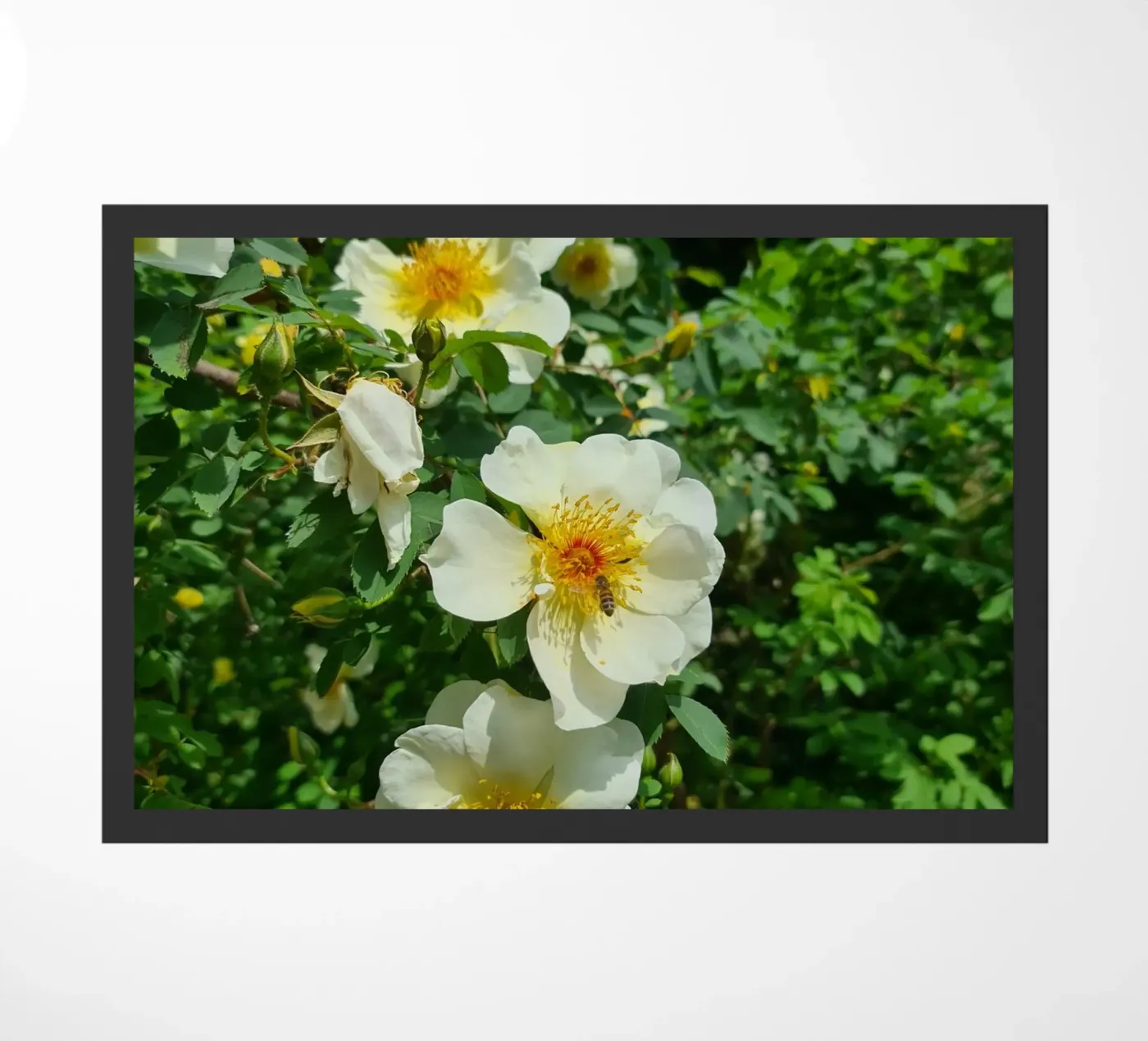 Biene und Blume Fußmatte von Buntblick