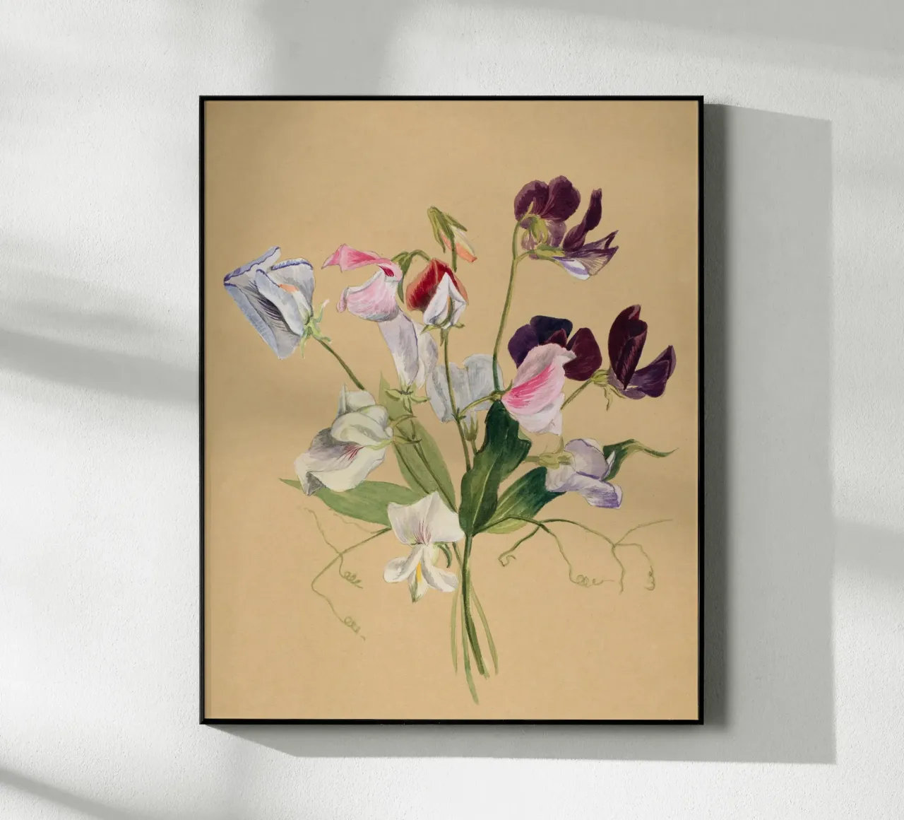 Flower Study acryl van Second Canvas