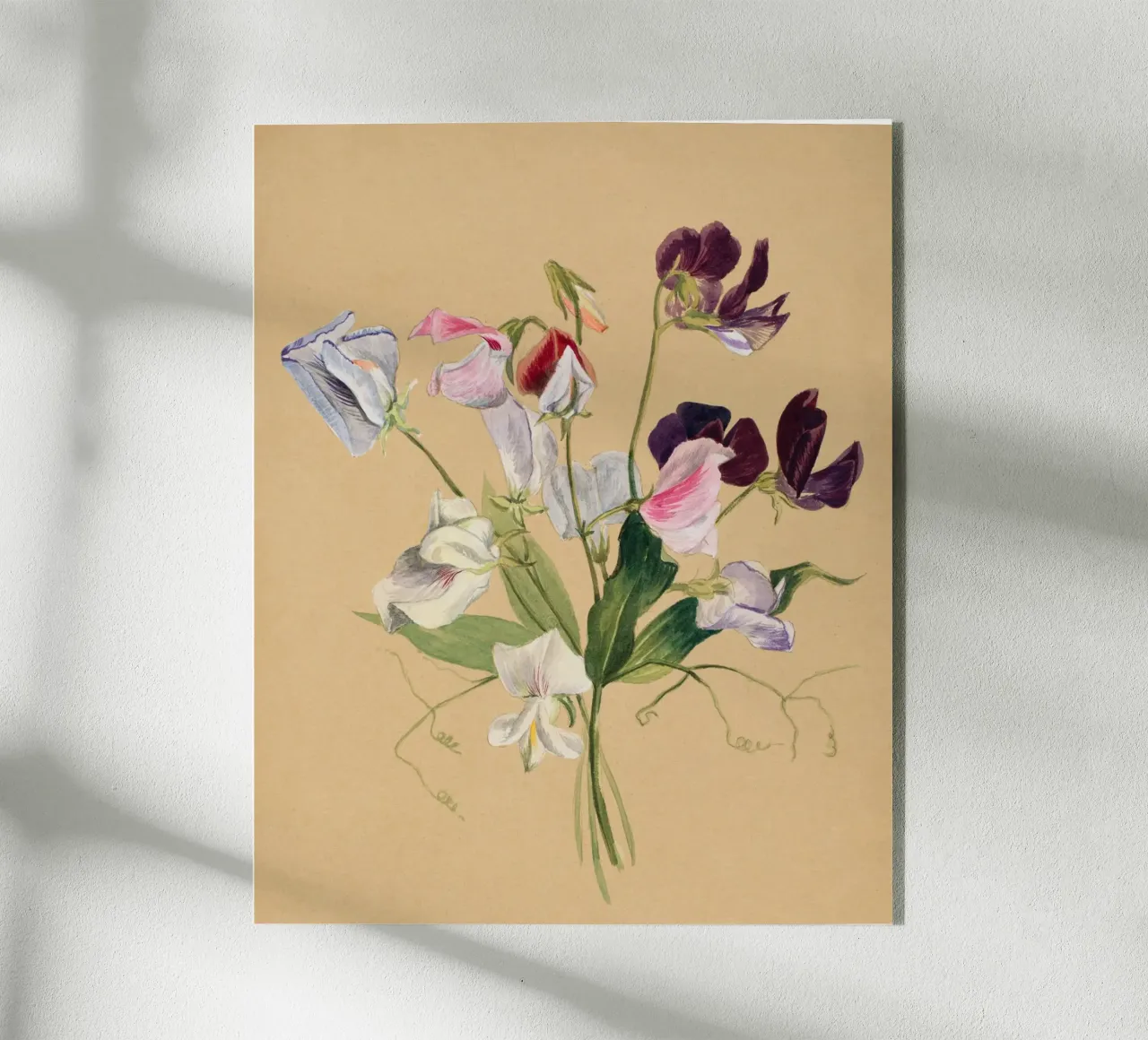 Flower Study acryl van Second Canvas