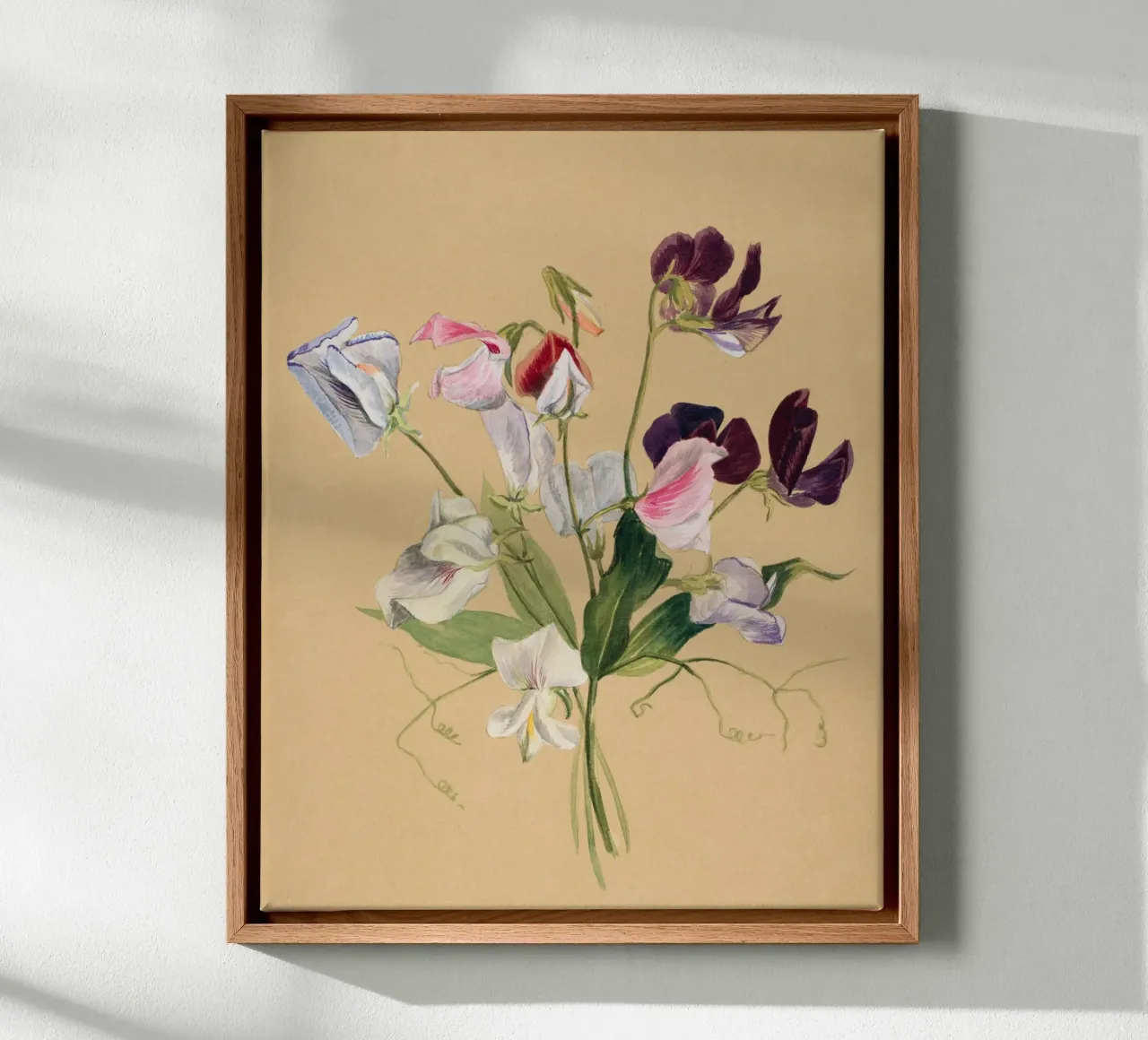 Flower Study tela da Second Canvas