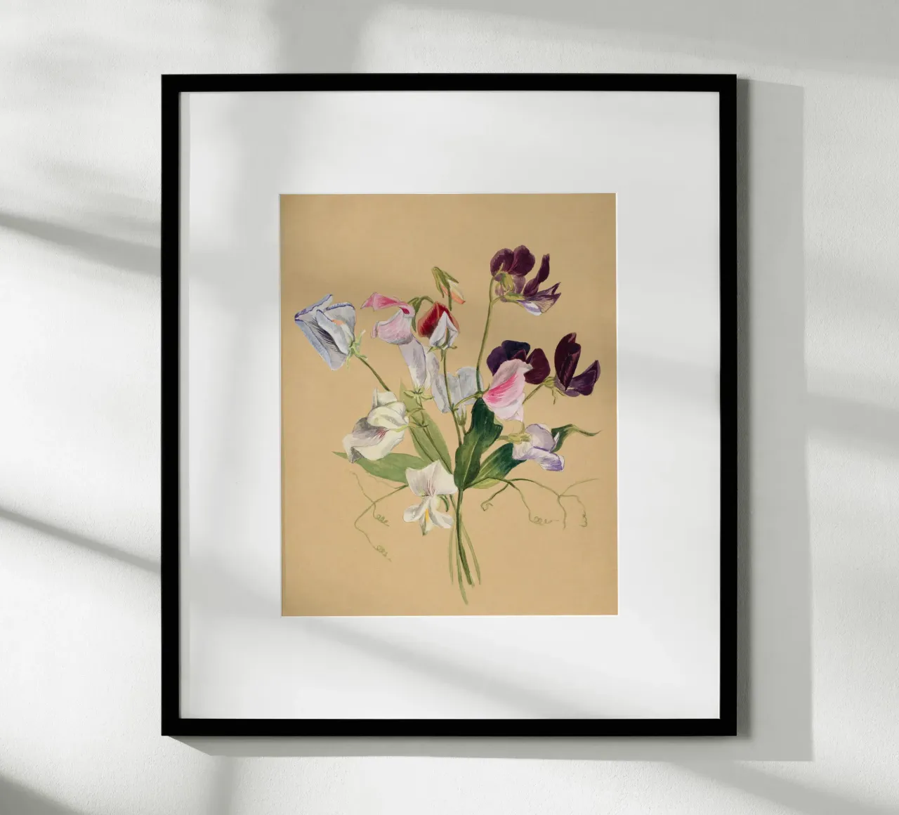 Flower Study poster con telaio in legno da Second Canvas