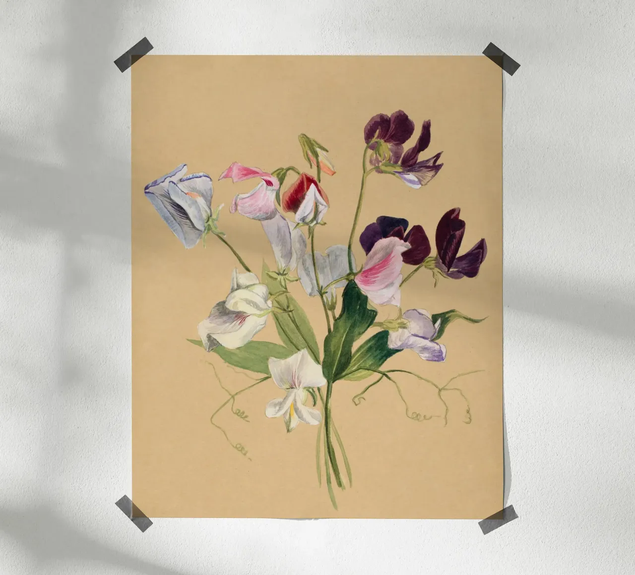 Flower Study poster con telaio in legno da Second Canvas
