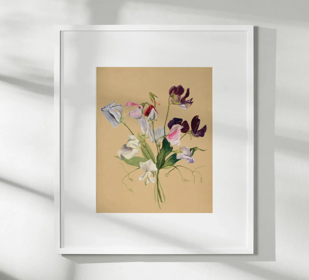 Flower Study poster con telaio in legno da Second Canvas