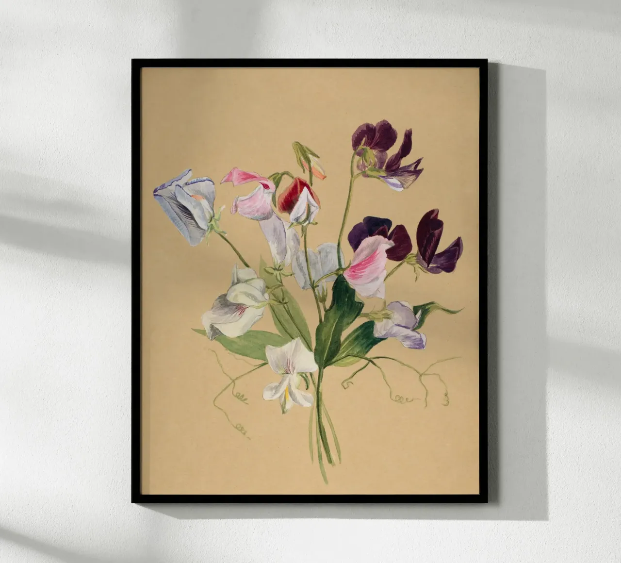 Flower Study poster con telaio in legno da Second Canvas