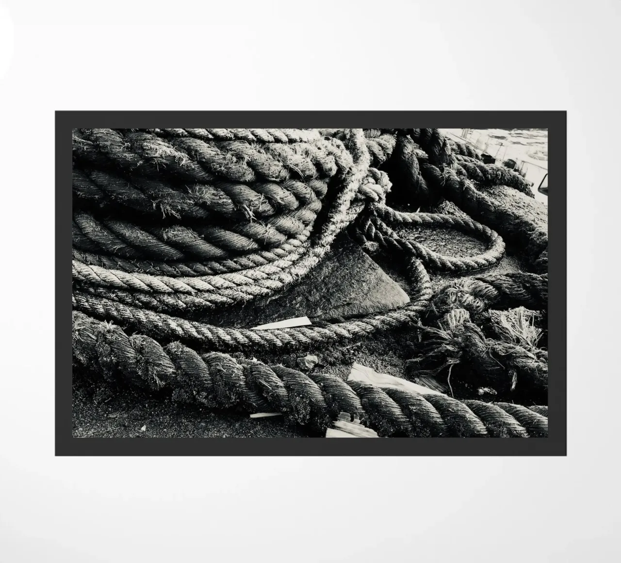 Harbour Details zerbino da Sophies