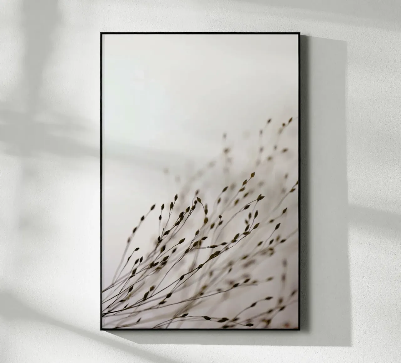 Brown Grass 1 plexiglass da Monika Strigel