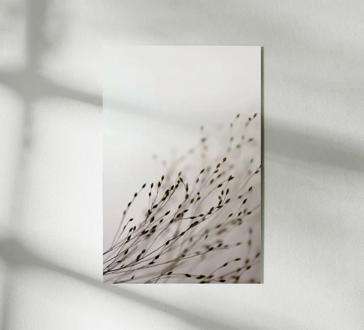 Brown Grass 1 plexiglass da Monika Strigel