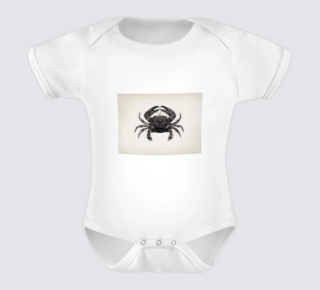 Vintage Brehm 2 Bogenkrabbe body neonato maniche corte da Vintage Print Collection