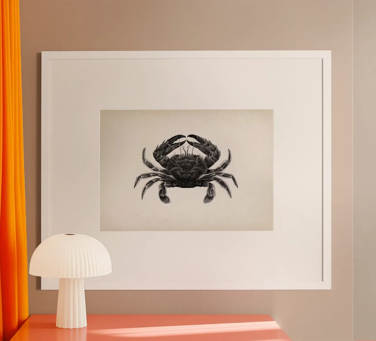 Vintage Brehm 2 Bogenkrabbe poster con telaio in plastica da Vintage Print Collection