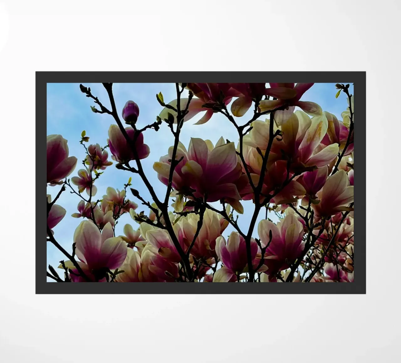 Magnolie doormat by Dorothea Baur