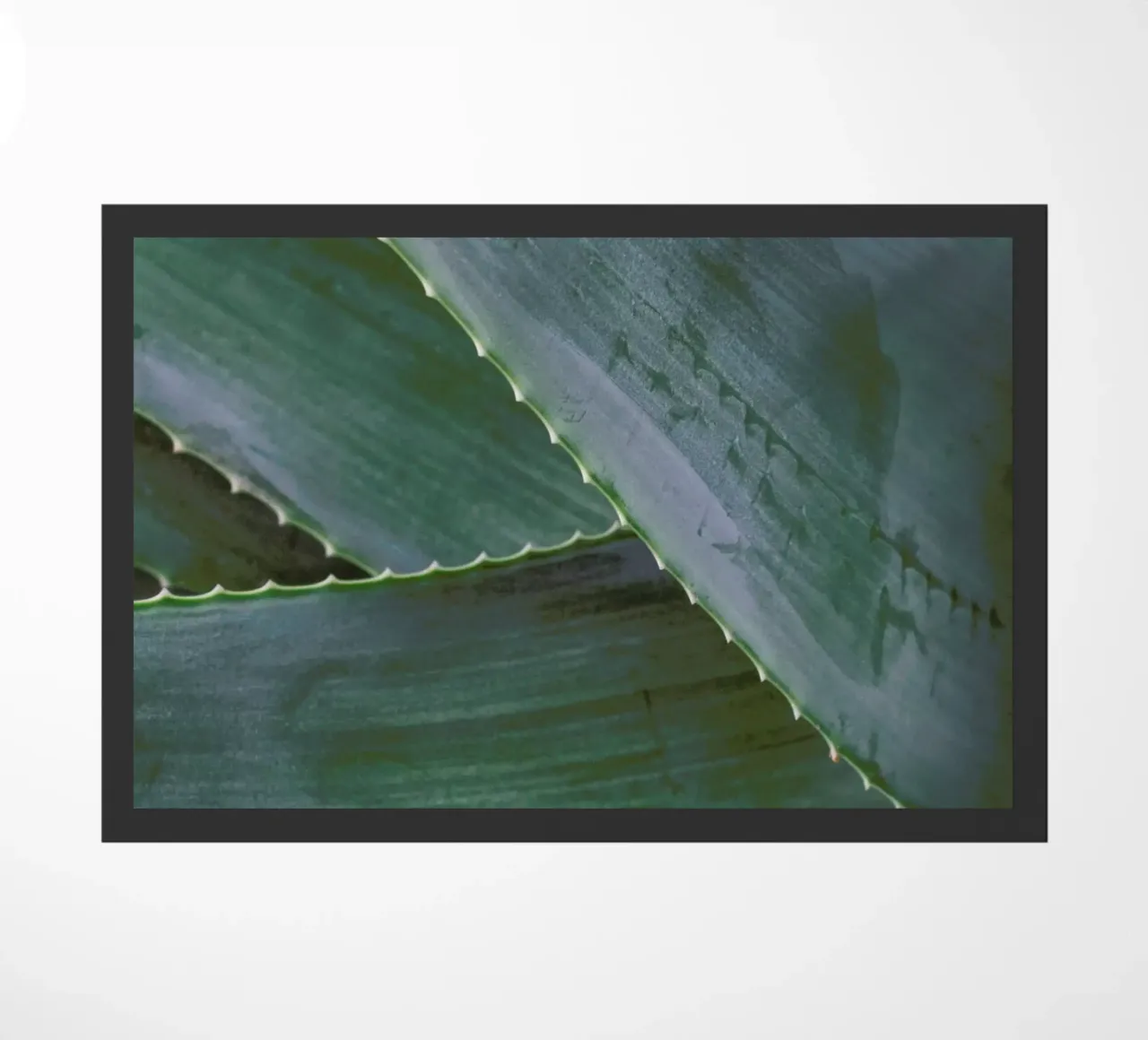 Close Enough 1 zerbino da Nur Mut