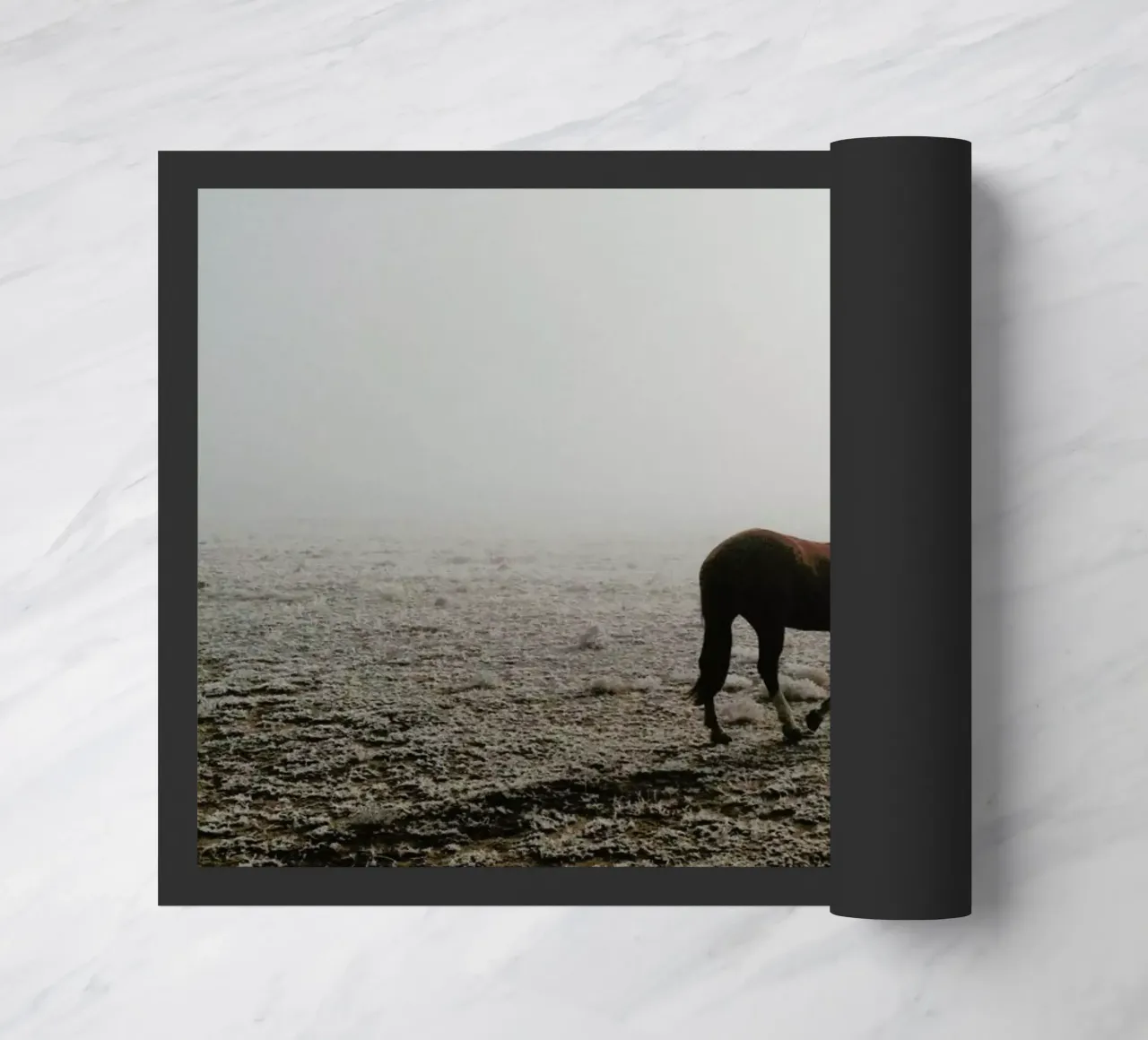 Fogged Horse zerbino da Kevin Russ