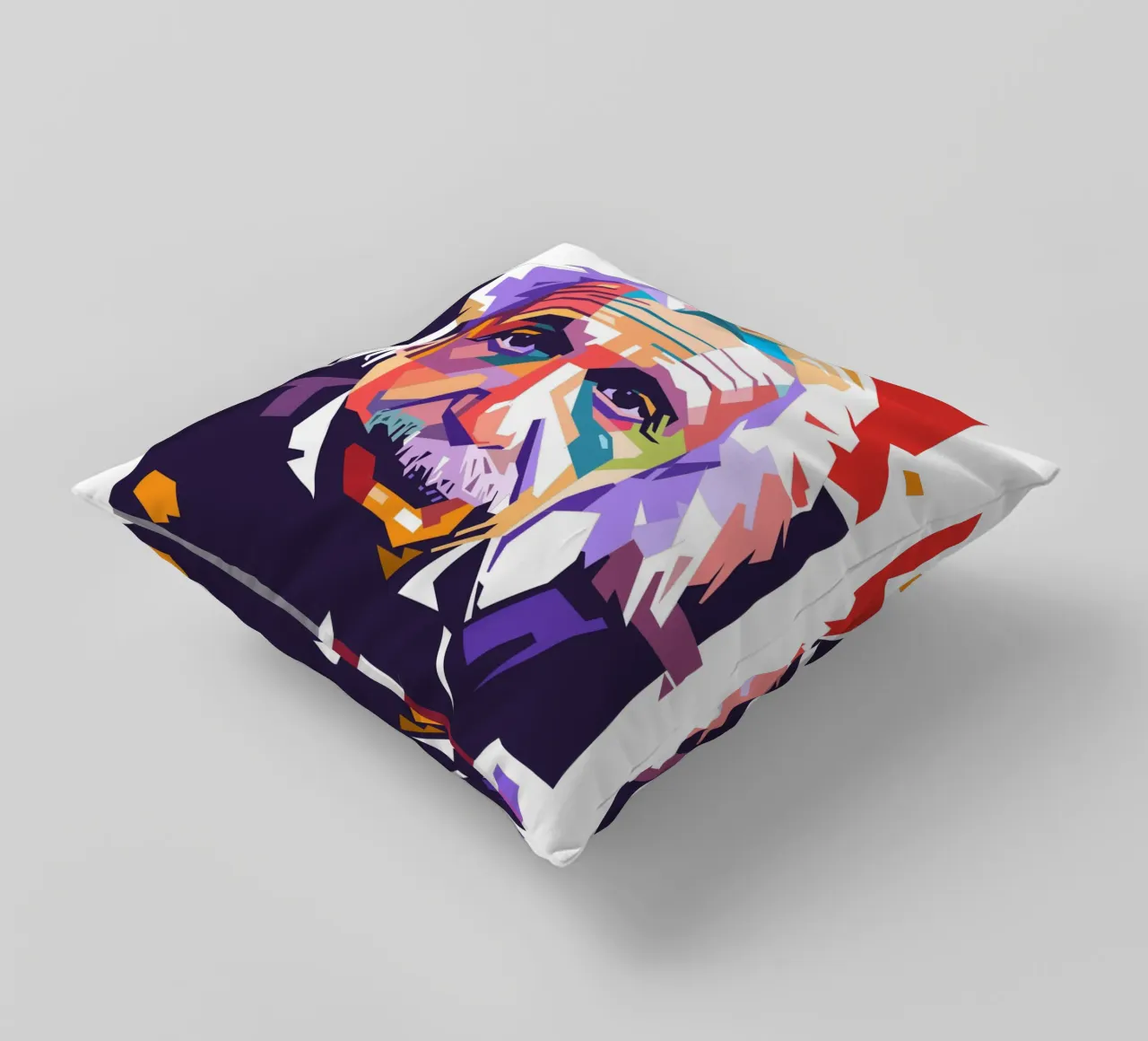 Ritratto pop art di Albert Einstein cuscino da Hantamrata