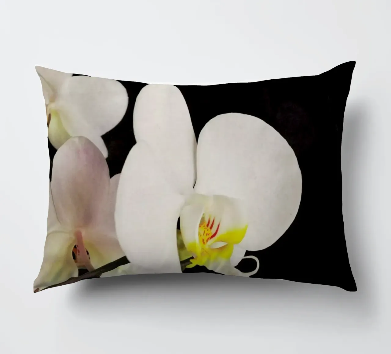 Orchidea bianca e nera cuscino da Cassia Beck Photography