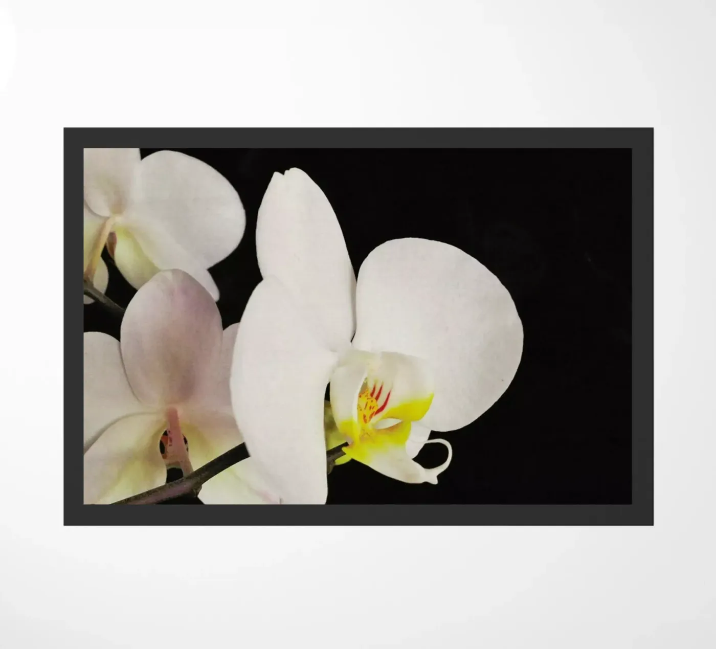 Black and White Orchid doormat by Cassia Beck Photography