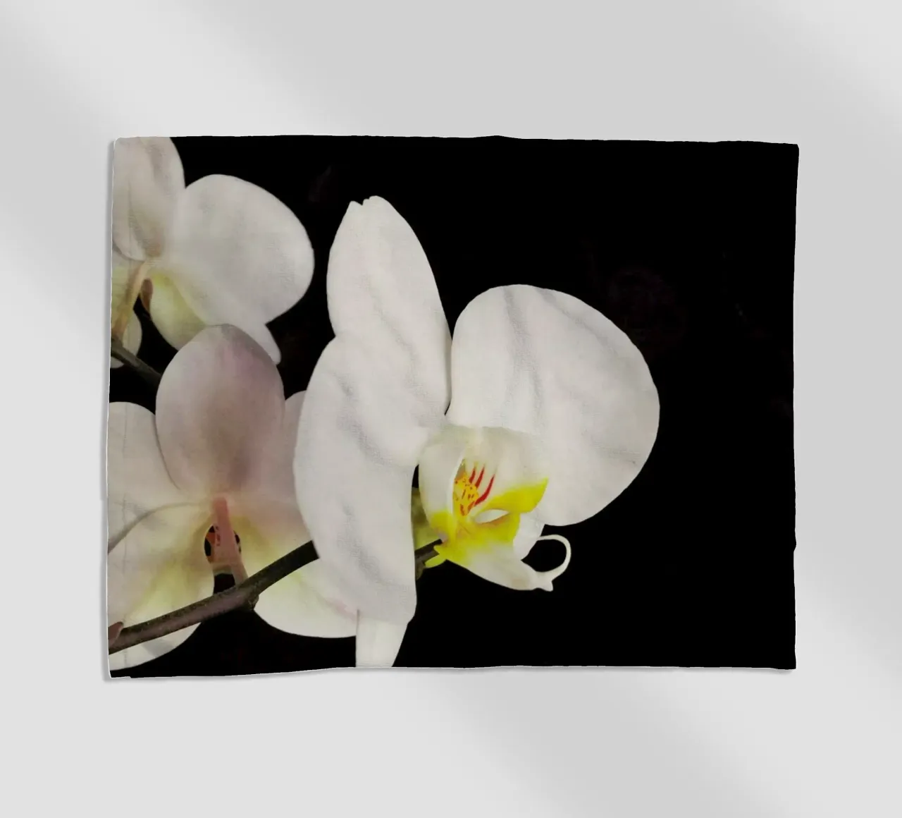 Black and White Orchid beach towel by Cassia Beck Photography