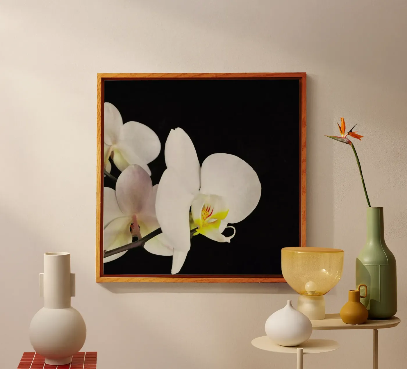Black and White Orchid Acryl-Glas von Cassia Beck Photography