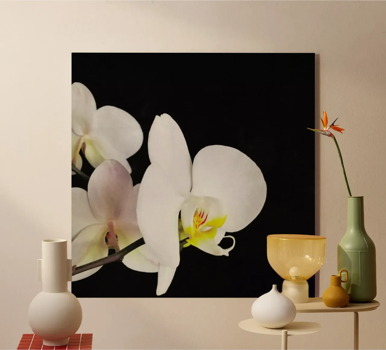 Orchidea bianca e nera plexiglass da Cassia Beck Photography