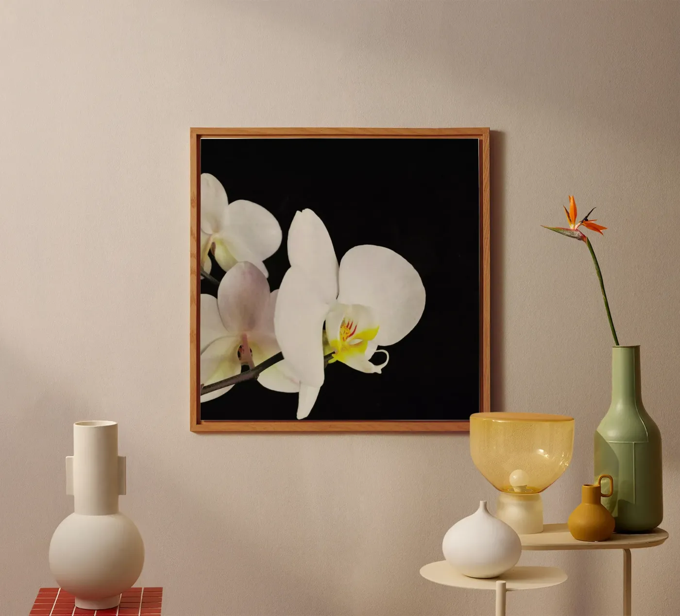 Orchidea bianca e nera pannello forex da Cassia Beck Photography