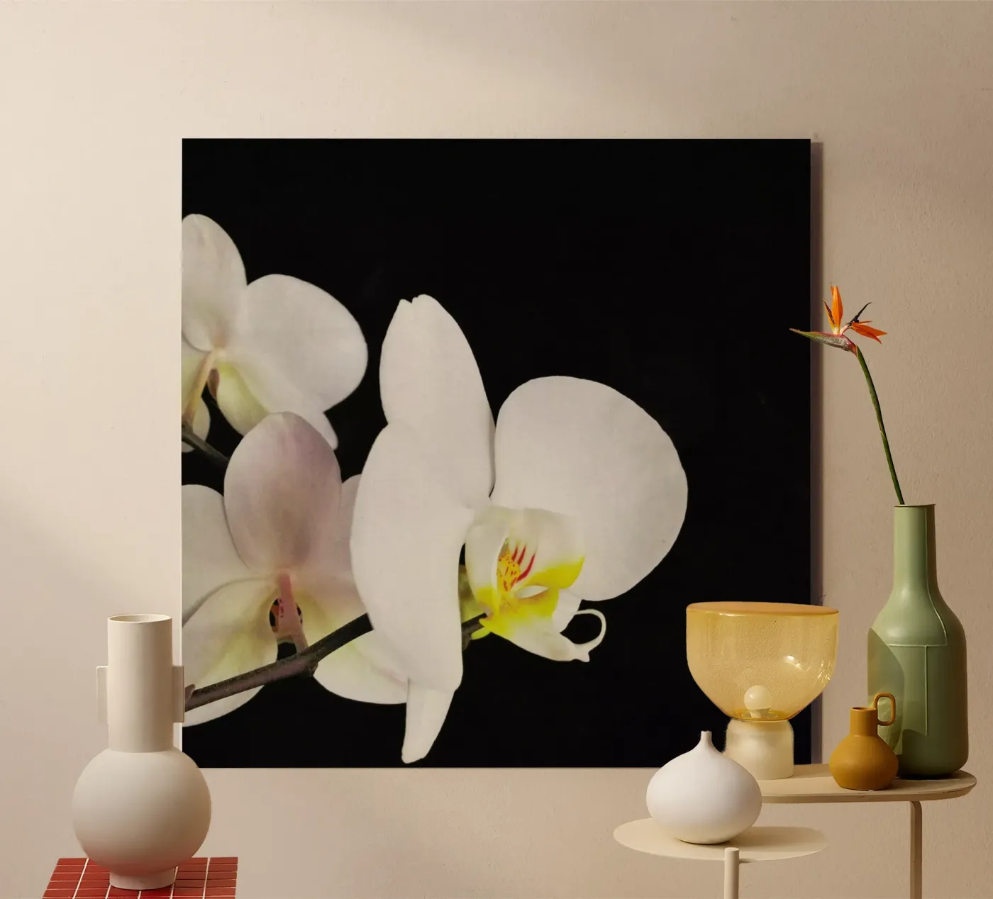 Orchidea bianca e nera pannello forex da Cassia Beck Photography