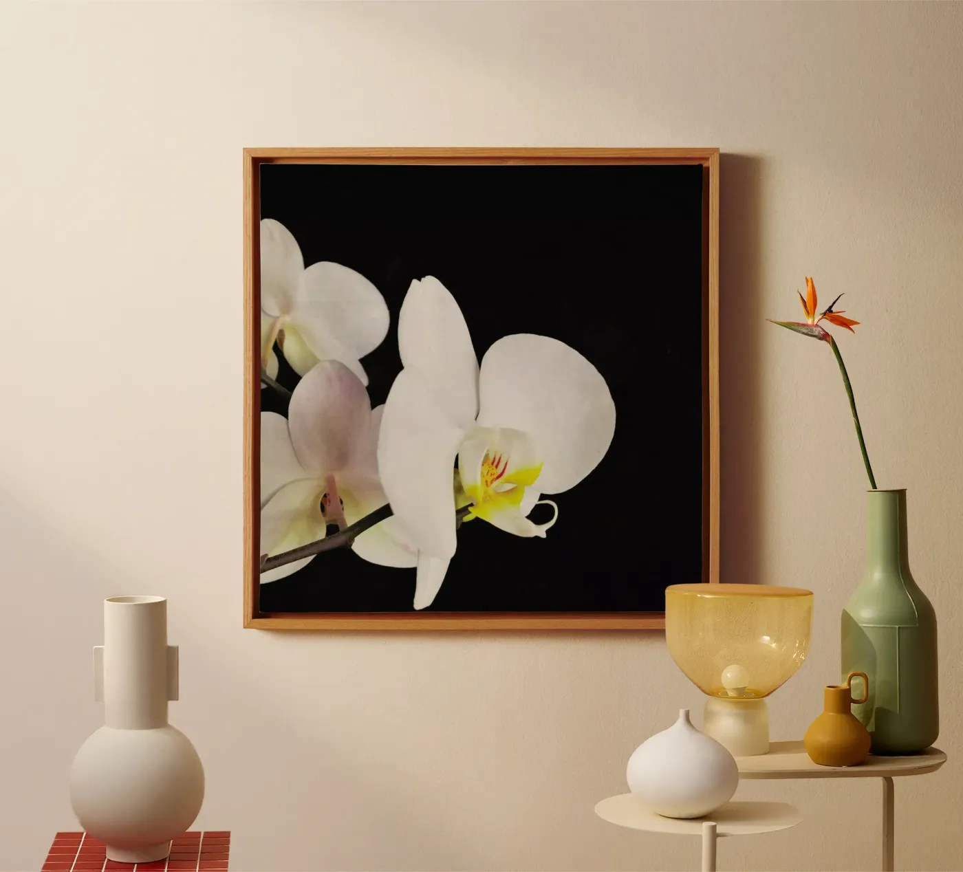 Orchidea bianca e nera tela da Cassia Beck Photography