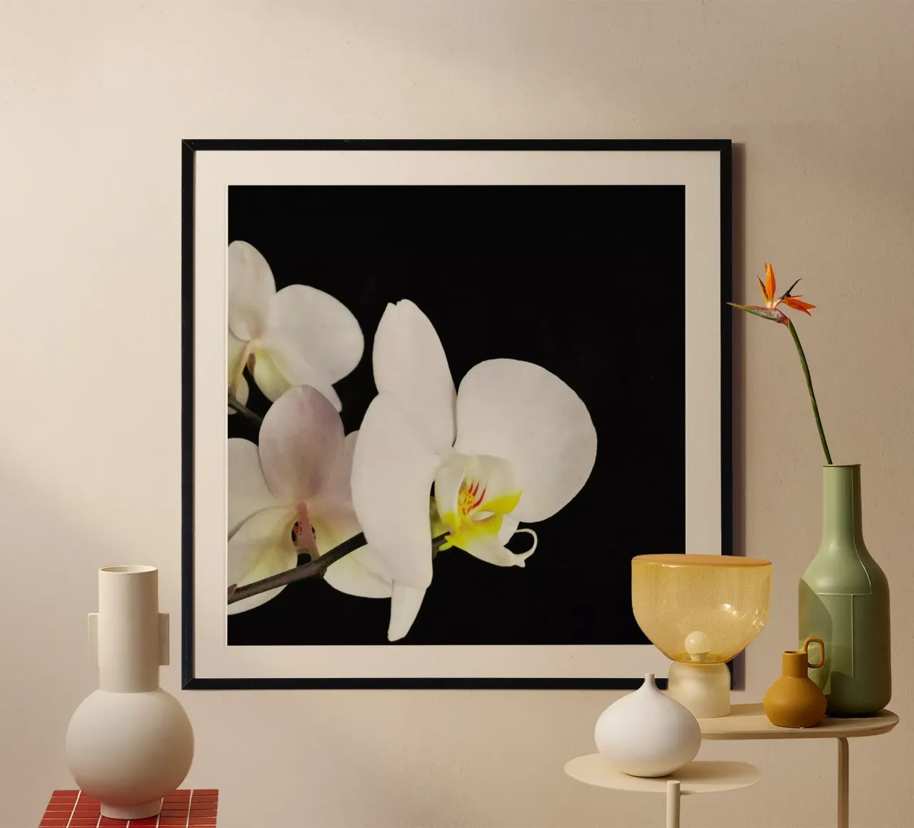 Orchidea bianca e nera poster da Cassia Beck Photography