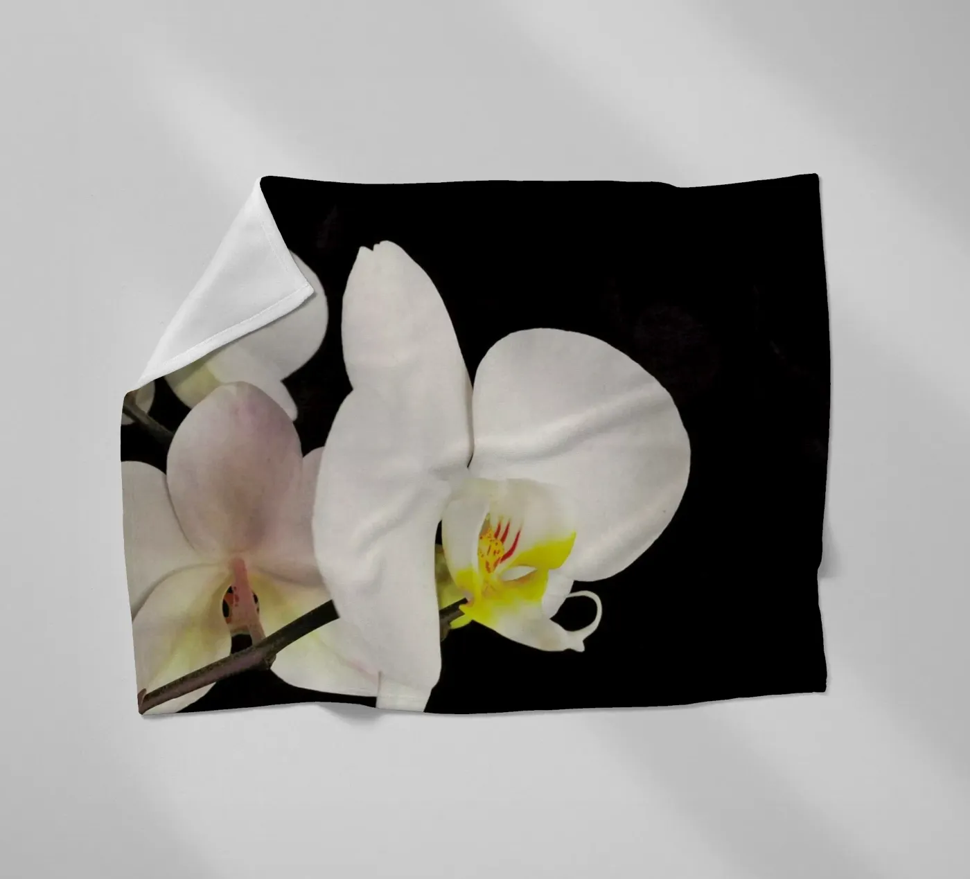 Orchidea bianca e nera coperta in pile da Cassia Beck Photography