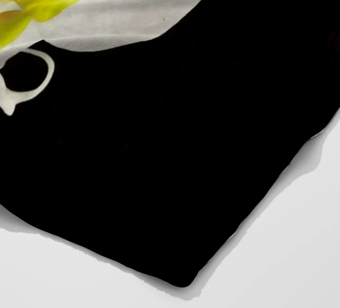 Orchidea bianca e nera coperta in pile da Cassia Beck Photography