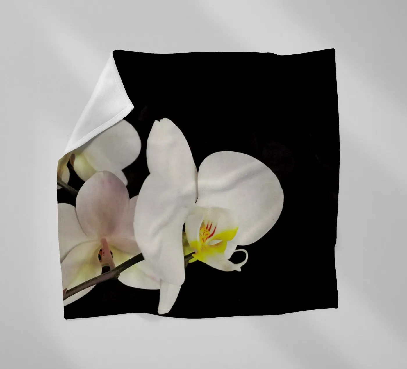 Orchidea bianca e nera coperta in pile da Cassia Beck Photography