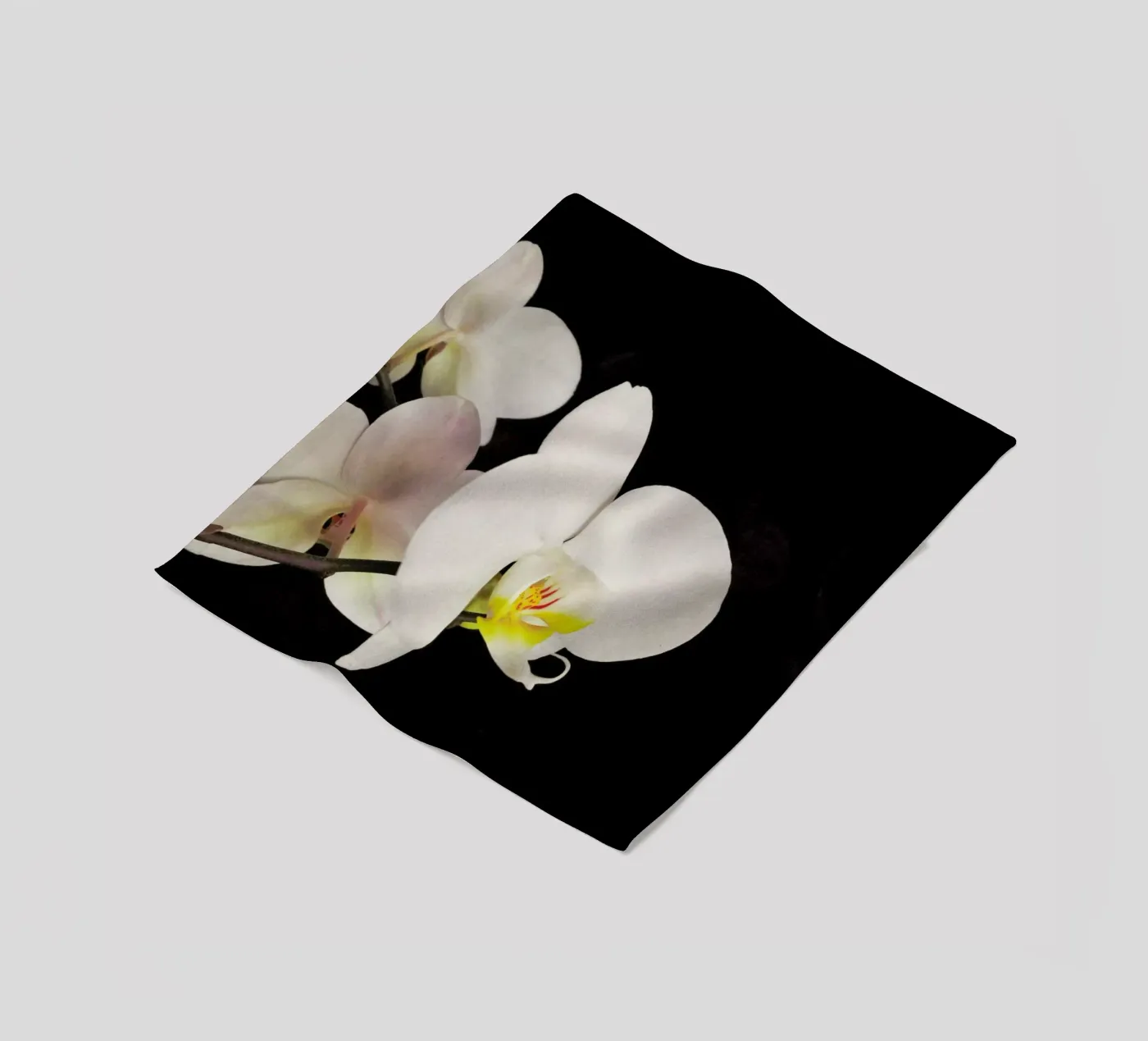 Orchidea bianca e nera coperta in pile da Cassia Beck Photography