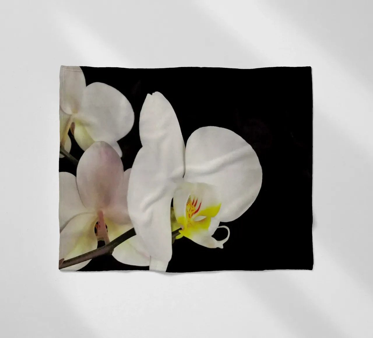Orchidea bianca e nera coperta in pile da Cassia Beck Photography