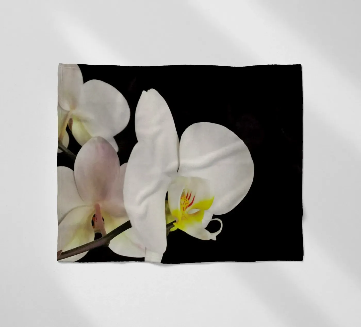 Orchidea bianca e nera coperta in pile da Cassia Beck Photography