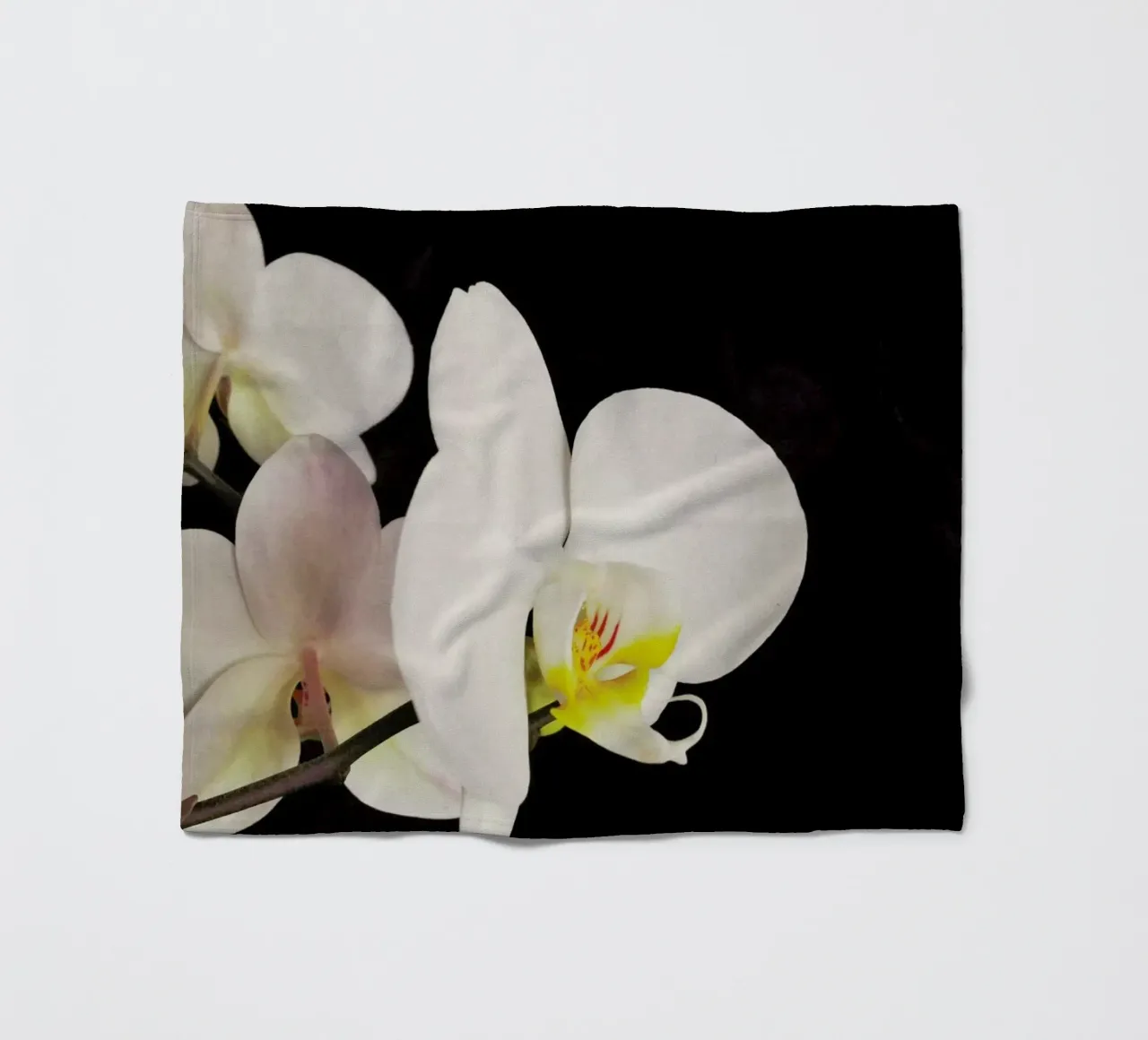 Orchidea bianca e nera coperta in pile da Cassia Beck Photography