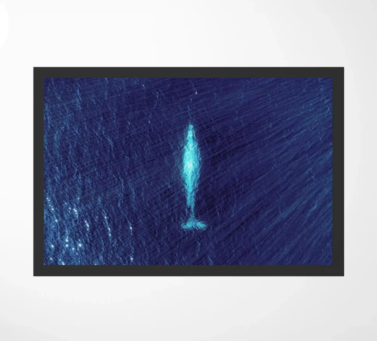 Whale deurmat van ROBERTO H