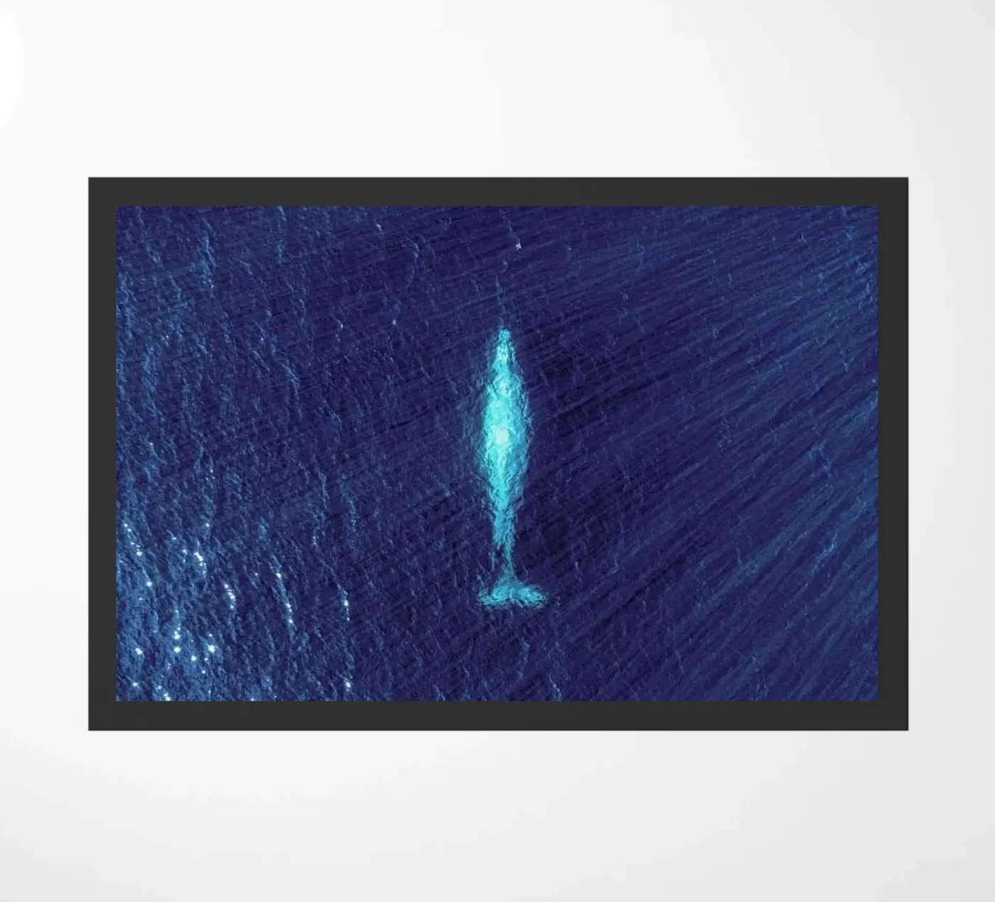 Whale Fußmatte von ROBERTO H