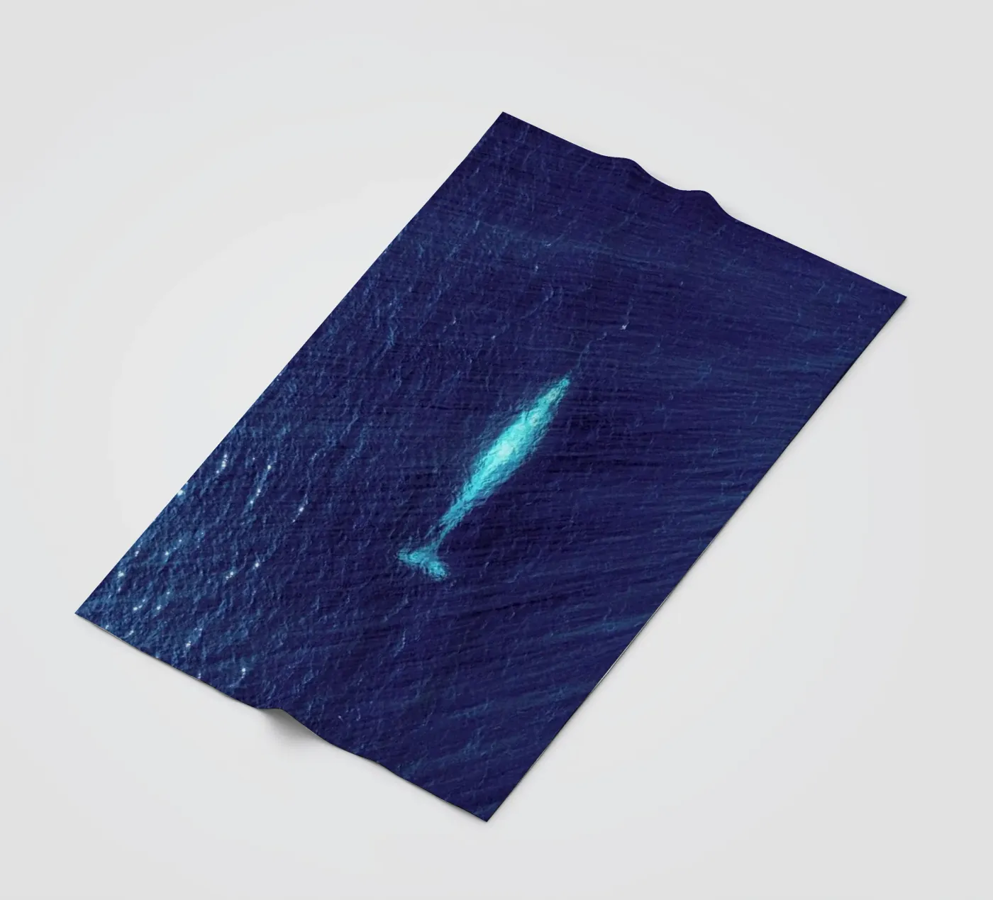 Whale fleecedeken van ROBERTO H