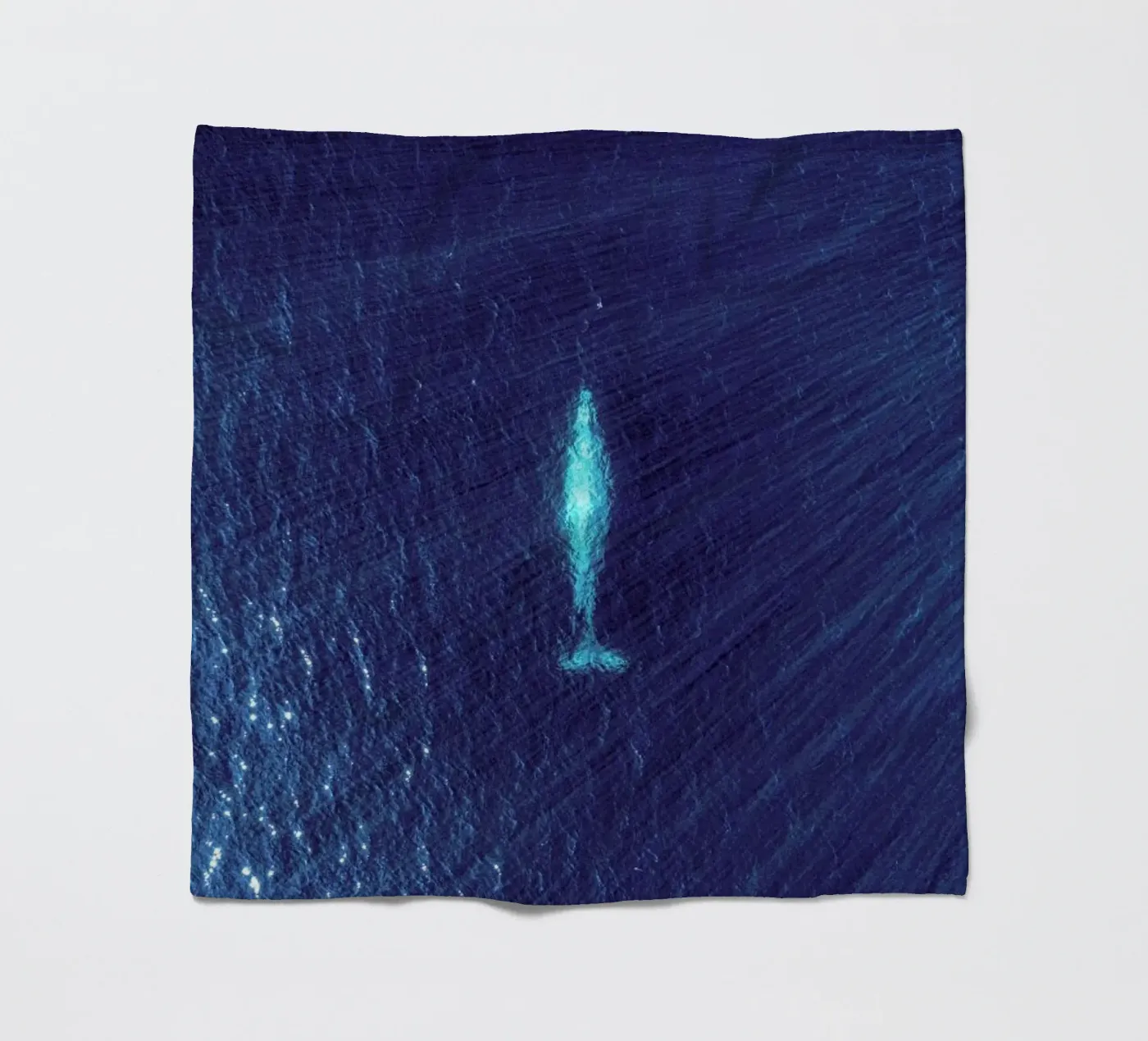 Whale fleecedeken van ROBERTO H