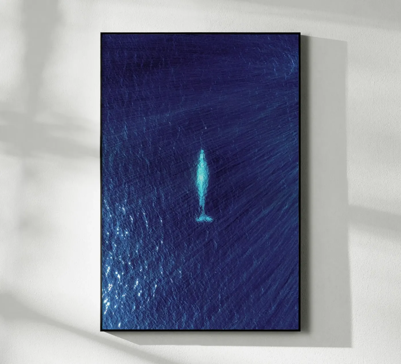 Whale plexiglas de ROBERTO H