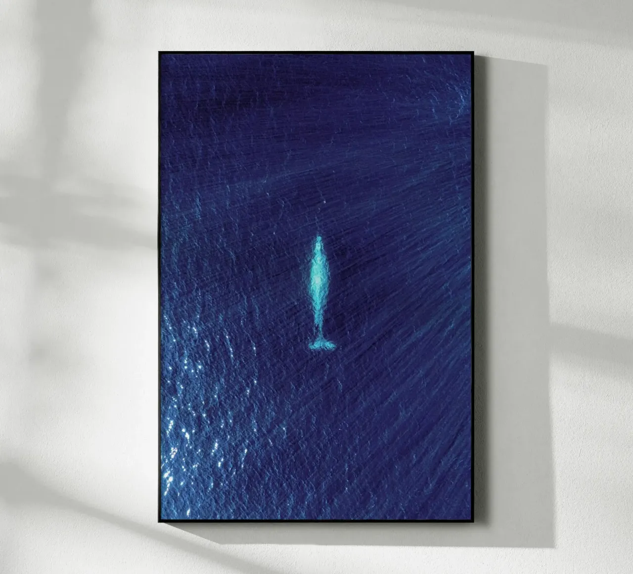 Whale plexiglass da ROBERTO H