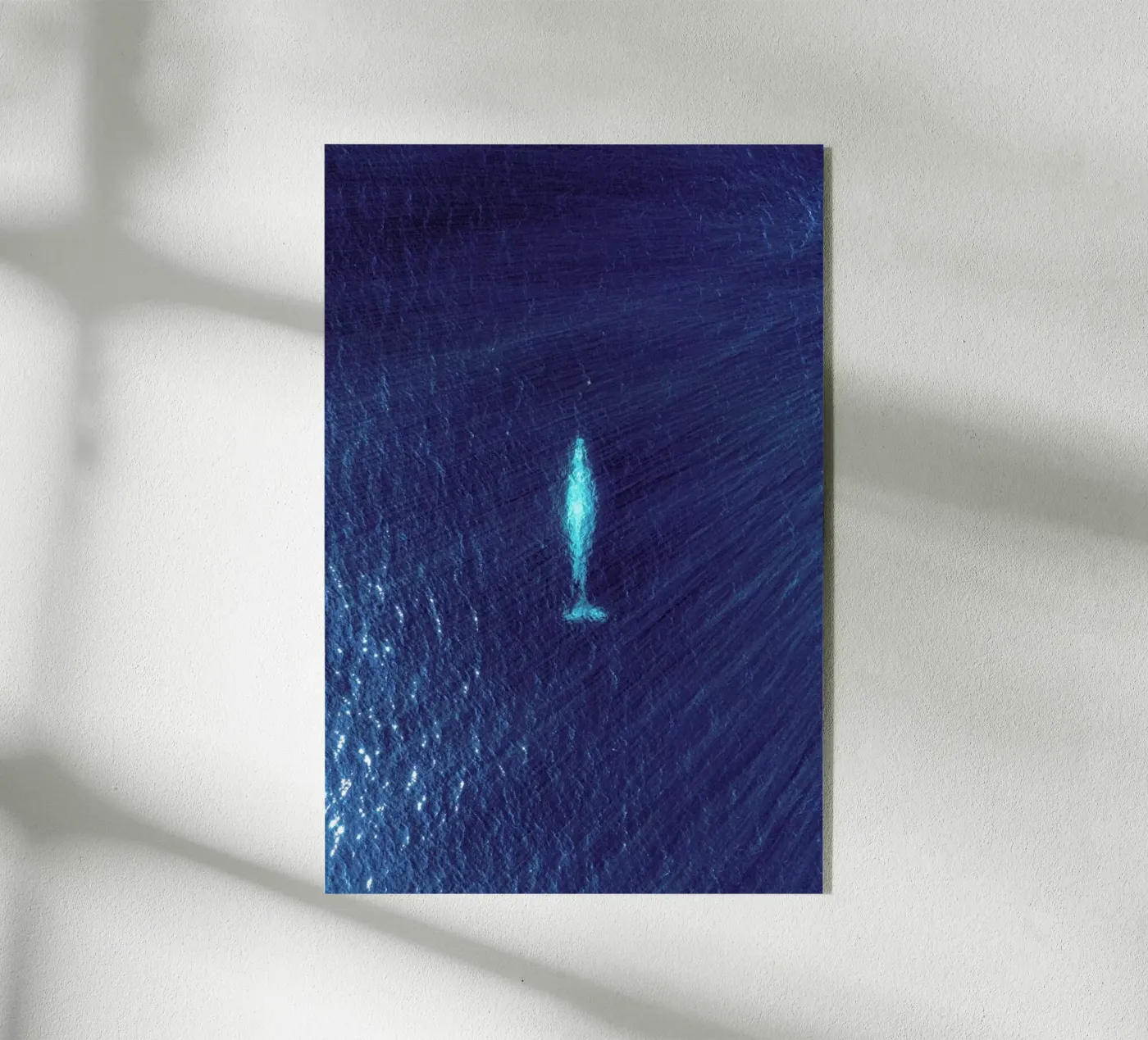 Whale plexiglas de ROBERTO H